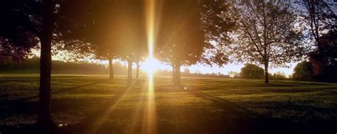 psicologo online brighton|Giovanni Felice Pace – Psychotherapy in Brighton, BN2.